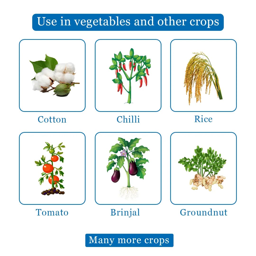 Midatek Insecticide - Imidacloprid 30.5% SC - Image 4