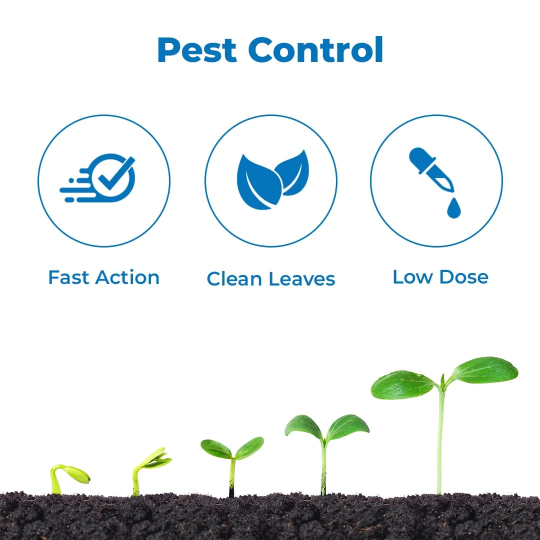 Agriventure IMI Gold (Imidacloprid 30.5% Sc) Systematic Insecticides Control Of Termites In Buildings During Pre And Post-Construction - Image 3