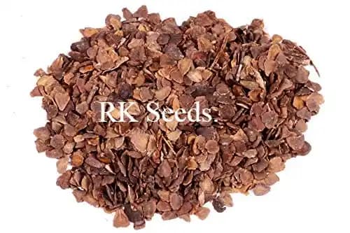 RK Seeds - Jacaranda, Blue Jacaranda Tree Seeds, Jacaranda Mimosifolia Seeds, Black Poui, The Fern Tree Seeds Ornamental Flowering Tree Seeds planting - Image 5