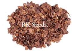 RK Seeds - Jacaranda, Blue Jacaranda Tree Seeds, Jacaranda Mimosifolia Seeds, Black Poui, The Fern Tree Seeds Ornamental Flowering Tree Seeds planting 5