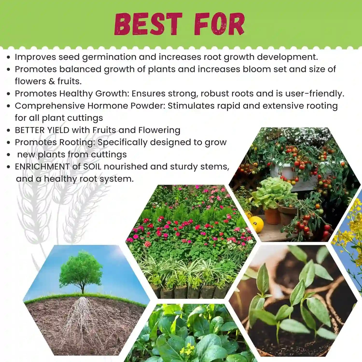 Katyayani Root Fast Rooting Hormone Powder, Boost Root Growth And Rooting System - Image 5