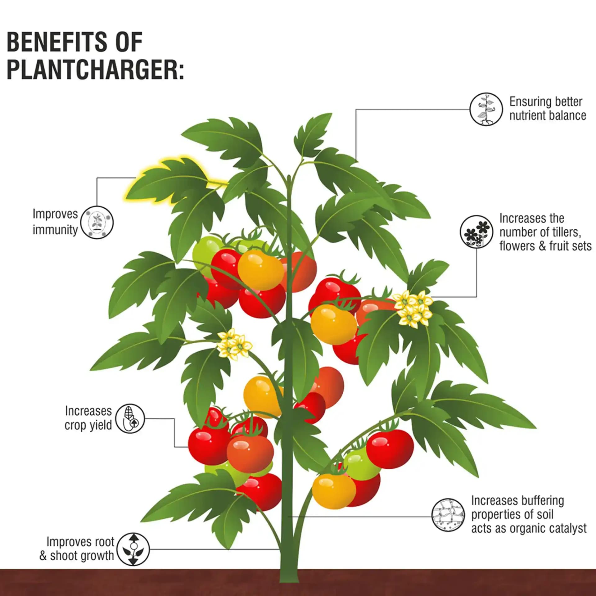 Barrix Plantcharger - Image 6