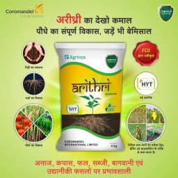 Coromandel Arithri Mycorrhizal, Plant Growth Regulator, Bio-Fertilizer Arbuscular Mycorrhizal Fungi 2