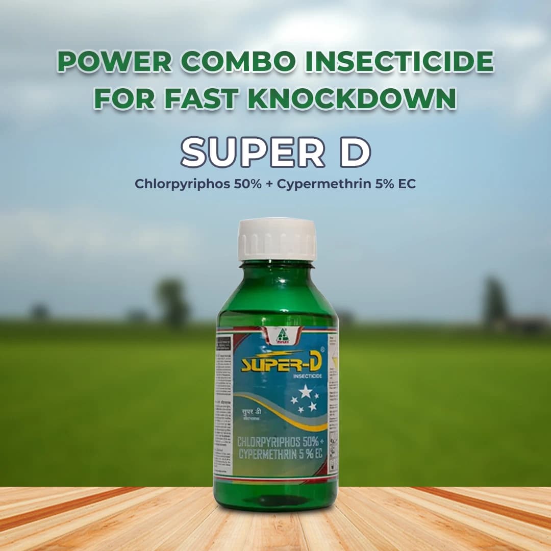 Dhanuka Super D Chlorpyriphos 50% + Cypermethrin 5% EC Insecticide, Systemic And Contact, Effective For Sucking And Chewing Pests In Cotton - Image 2