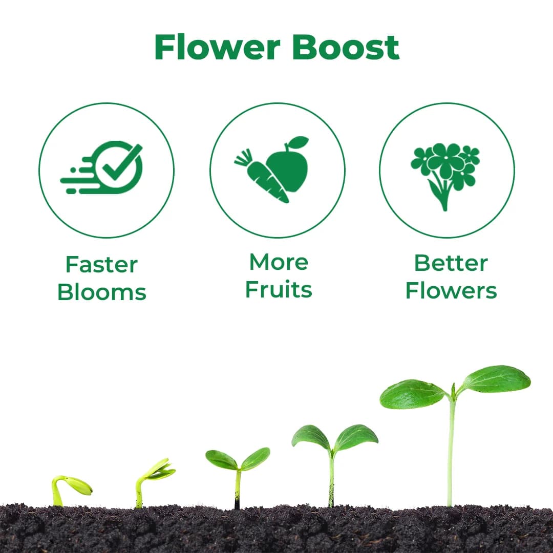 Anand Agro Scale Up - Brassinolide Plant Growth Regulator - Image 3