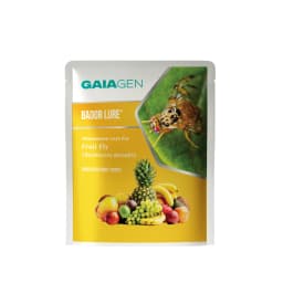 Gaiagen Bador Lure, Pheromone Lure For Fruit Fly (Bactrocera Dorsalis) And Insect Fly Trap, IMO Certified 2