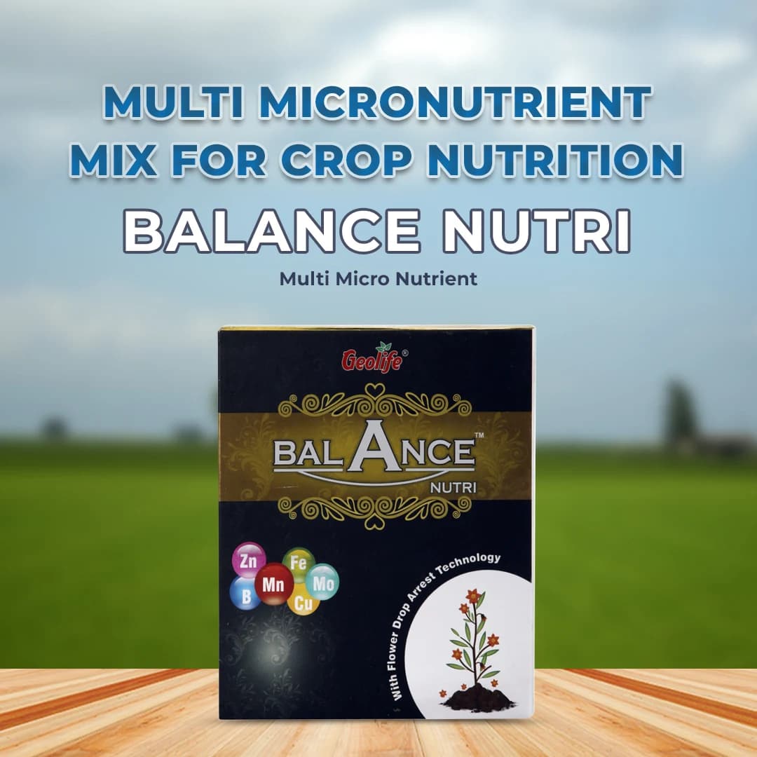 Geolife Balance Nutri Multi Micro Nutrient , Contain Zinc (Zn), Iron (Fe), Boron (B), Copper (Cu), Manganese (Mn) & Molybdenum (Mo) - Image 2