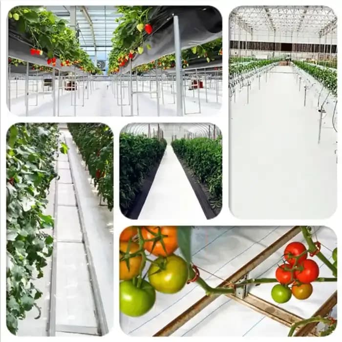 Singhal 100 GSM Garden Weed Control Barrier Sheet Mat, Landscape Fabric, Heavy Duty Weed Block Gardening Mat For Gardens (White) - Image 8