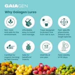 Gaiagen Bador Lure, Pheromone Lure For Fruit Fly (Bactrocera Dorsalis) And Insect Fly Trap, IMO Certified 8