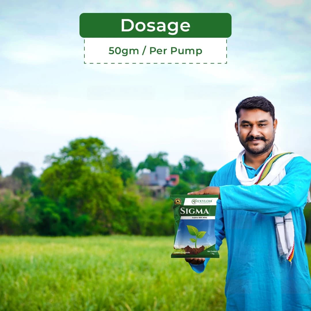 Exylon Sigma Fungicide - Sulphur 80% WDG - Image 6