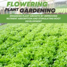 T Stanes Stanohume (12% HA) Plant Growth Regulator, Improves The Structure of the Soil and Increases Water Retention, Use for Home Garden and Plants 4