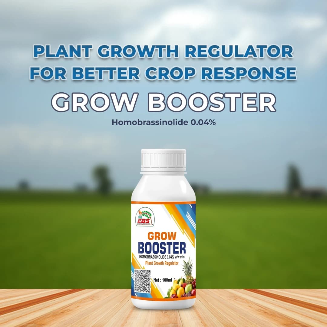 EBS Grow Booster (Homobrassinolide 0.04%) Plant Growth Regulator, Increases Flowering And Provides Resistance Against Stress And Diseases - Image 2