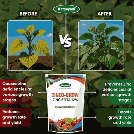 Katyayani Zinco Grow (Zinc EDTA 12%) Fertilizer - Image 3
