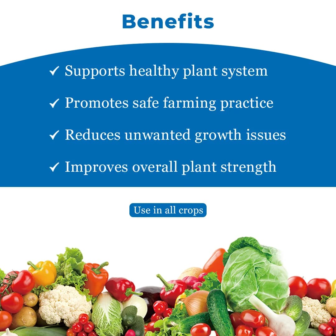 Dr. Bacto\'s Ampelo (Ampelomyces Quisqualis) Effective On Powdery Mildew of Fruits and Vegetable Crops - Image 4