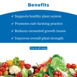 Dr. Bacto\'s Ampelo (Ampelomyces Quisqualis) Effective On Powdery Mildew of Fruits and Vegetable Crops 4