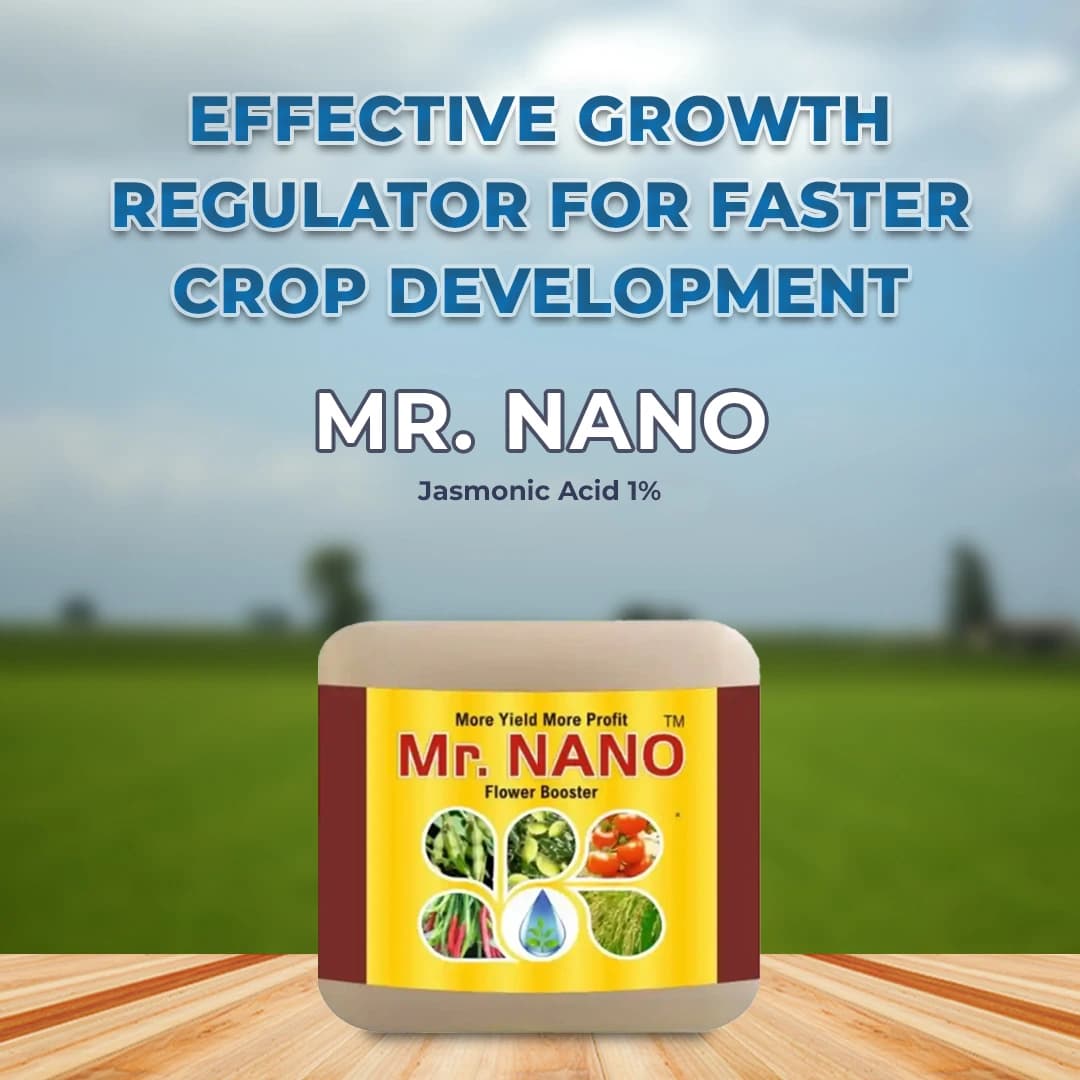 Bhumi Mr. Nano (Jasmonic Acid 1%) Nano Technology Based Flower Booster, Increases The Number Of Flowers In Crops & Also Reduces Flower Fall - Image 2