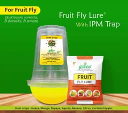 Fruit Fly pheromone Trap Set For 1 Acre and Lure For Bactrocera Correcta, Zonata, Dorsalisa. 5