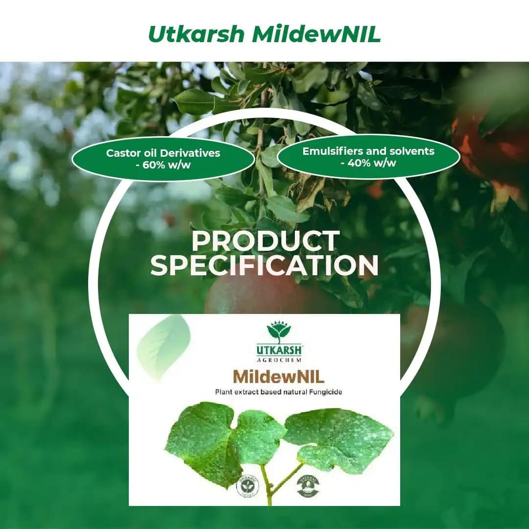 Utkarsh MildewNIL Plant Extract Based Natural Fungicide For Powdery And Downy Mildew - Image 6