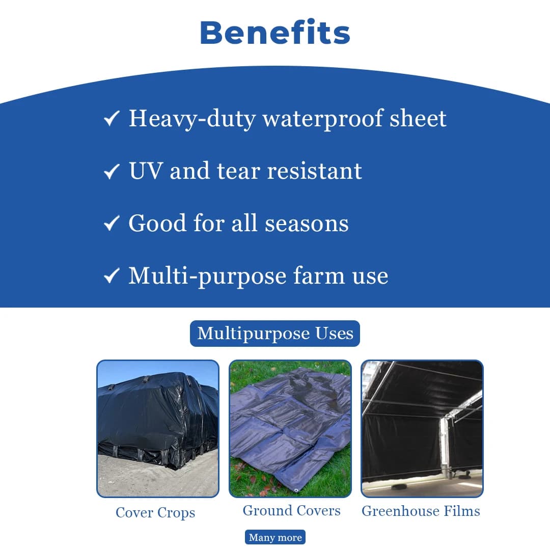 Mipatex Tarpaulin 150 GSM Waterproof Multipurpose Use, Poly Tadpatri with Aluminum Eyelets. - Image 4