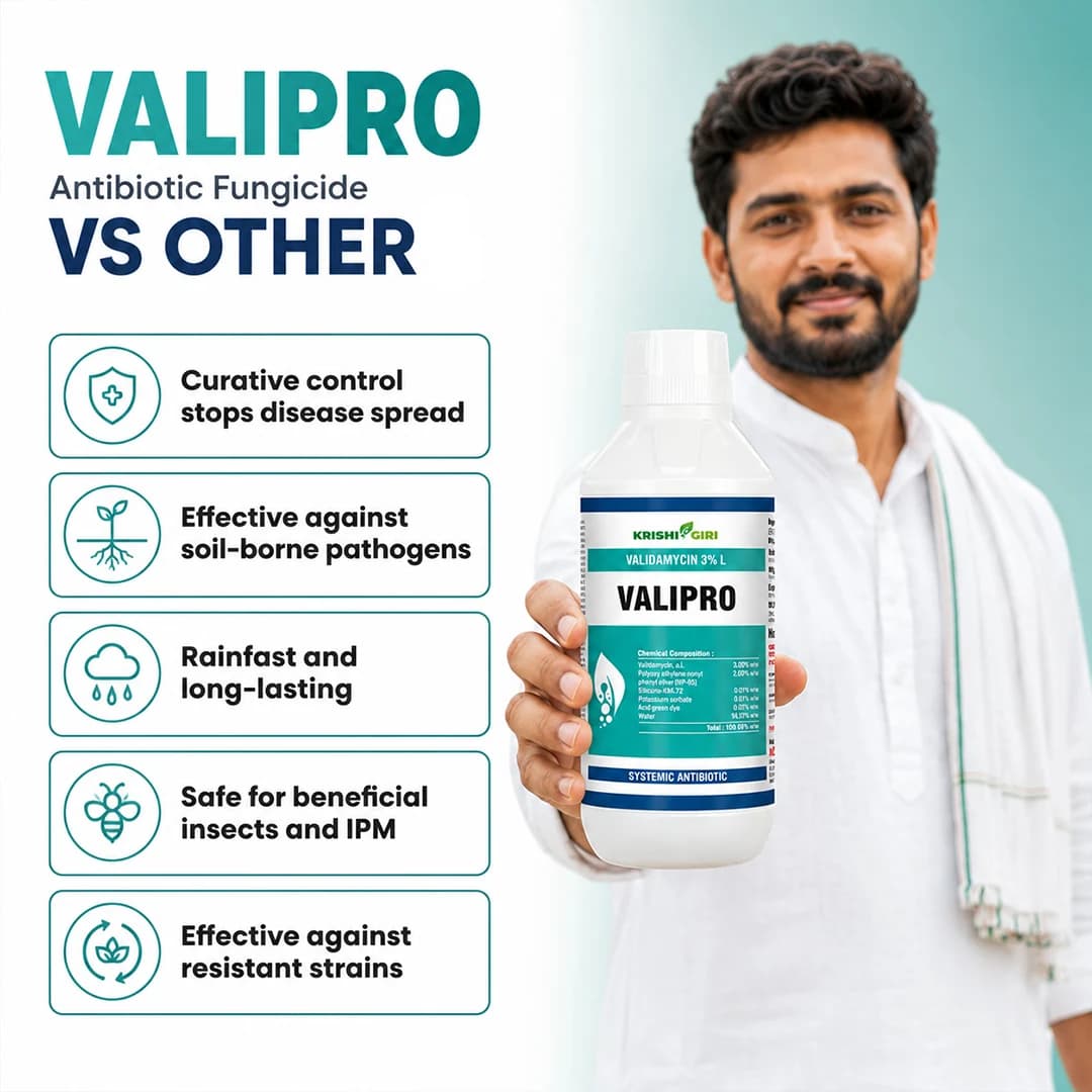 Valipro Fungicide - Validamycin 3% L - Image 3