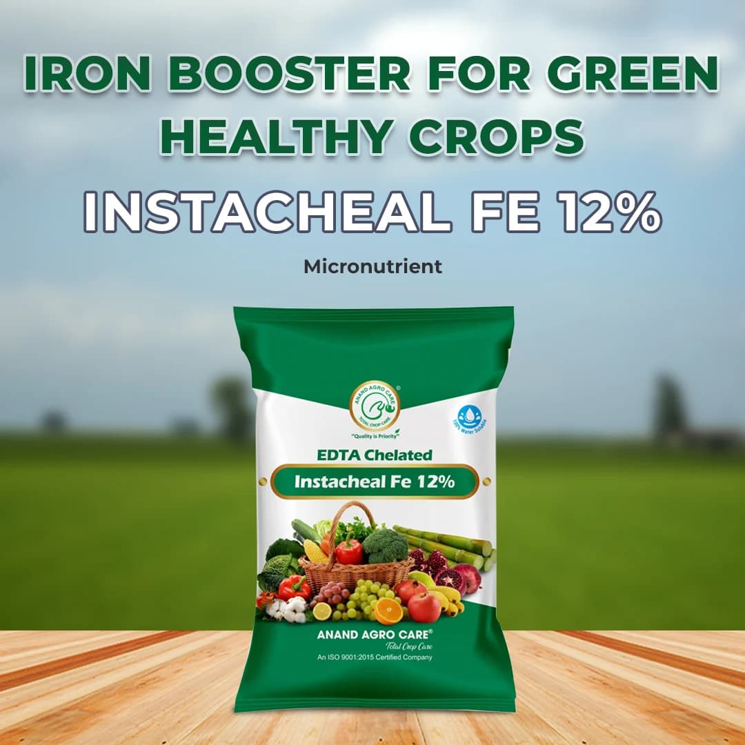 Instacheal Fe 12%, EDTA Chelated Ferrous 12%, EDTA Chelated Iron, Plant Nutrition, Micronutrient Ferrous - Image 2