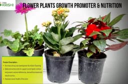 Easykrishi Bloomax Flowering Special Flower Plant Growth Promoter, Flower Plant Nutrition, Promotes Strong Roots development 4