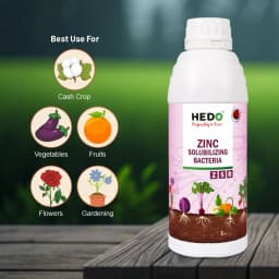 HEDO Zinc Solubilizing Bacteria (ZSB) Liquid Bio Fertilizer, For All Plants, Agricultural & Garden, Helps to Improves Soil Fertility 2