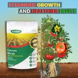 Katyayani Calcium Nitrate Premium Fertilizer for Enhanced Plant Nutrition and Soil Health 2