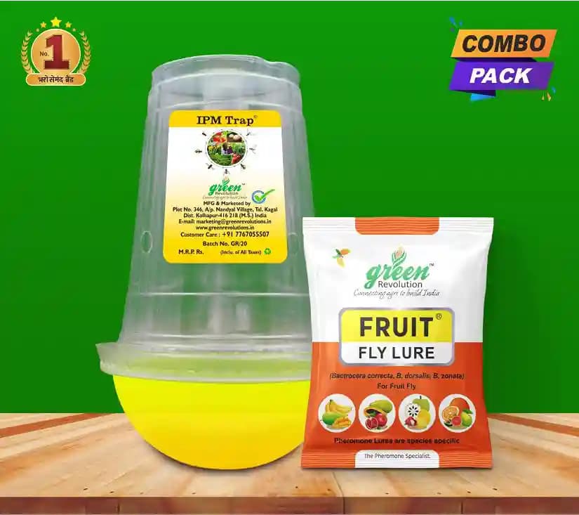 Fruit Fly pheromone Trap Set For 1 Acre and Lure For Bactrocera Correcta, Zonata, Dorsalisa. - Image 6