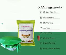 SK Agrotech Helicoverpa armigera (American Bollworm) Pheromone Trap With Lure - Effective Solution For Controlling Green Leaf-Eating Caterpillars 5