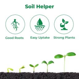 Dr. Bacto\'s PSB, Phosphate Solubilizing Bacteria Organic Fertilizer, Harmless, Eco-friendly, And Low-Cost Agro-Input. 3