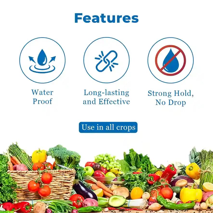 Yellow Sticky Traps For Insect - A5 Size - Image 4