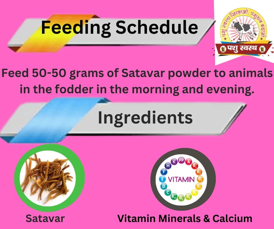 PASHU SVASTH SITAWAR POWDER, Animal Health Suppliments, Pure Herbal Blend For Healthy Milk Yield In Animals - Image 4
