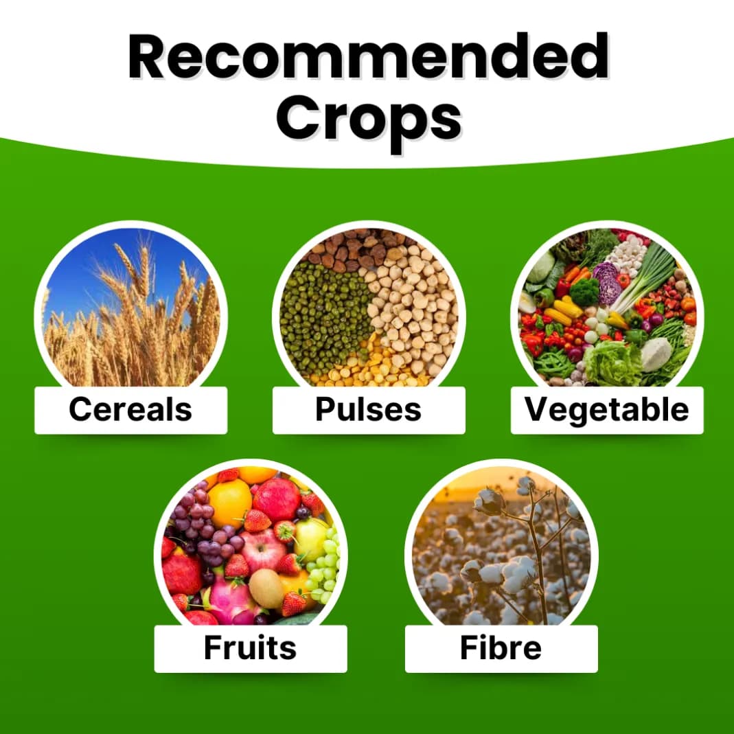 Katyayani NPK 19:19:19 Fertilizer - Image 2