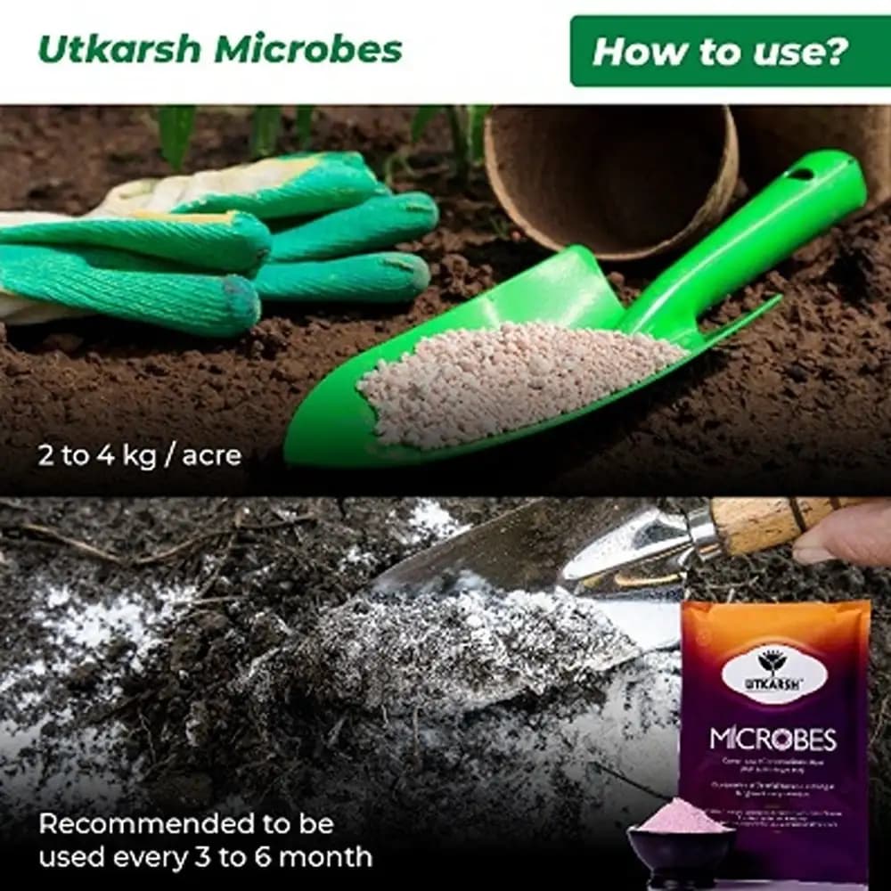 Utkarsh Microbes Carrier Based Consortia Bio Fertilizer, For Nitrogen Fixing, Phosphorus & Potassium Mobilization - Image 5