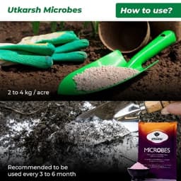 Utkarsh Microbes Carrier Based Consortia Bio Fertilizer, For Nitrogen Fixing, Phosphorus & Potassium Mobilization 5