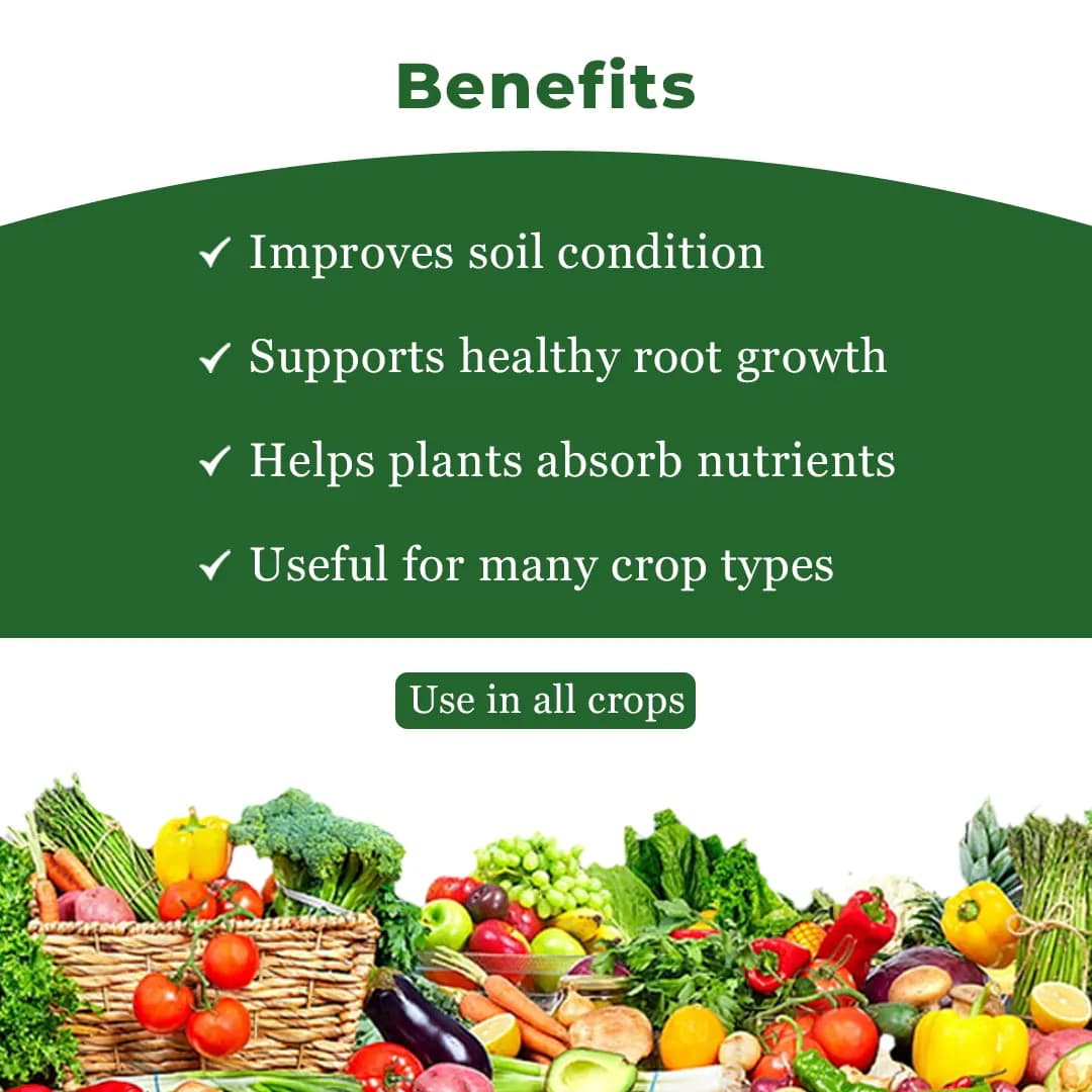 Dr. Bacto\'s BioSulf (Vegetative Cells Of Thiobacillus Spp.), Non Toxic. Converts The Insoluble Form of Sulphur and Ferrous Into Soluble Form. - Image 4