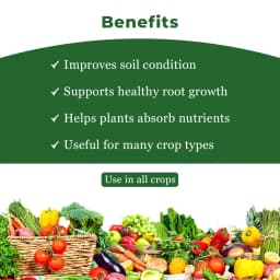 Dr. Bacto\'s BioSulf (Vegetative Cells Of Thiobacillus Spp.), Non Toxic. Converts The Insoluble Form of Sulphur and Ferrous Into Soluble Form. 4