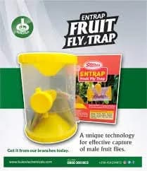 T.Stanes Entrap Fruit Fly Trap, Eco-Friendly & Effective Male Fruit Fly Control For Various Fruits 2