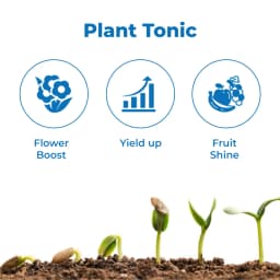 UTKARSH Huminoz-98 Humic Acid 98% for Plant, Plant Fertilizer For Potted Plants, Plant Growth Enhancer, Soil Conditioner, Improves Plant Root System 3