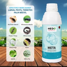 HEDO Meta (Metarhizium Anisopliae) Liquid Bio Pesticide For Agriculture, Garden & All Crops To Control Beetles, Weevils, White Grubs, Aphids & Thrips 2