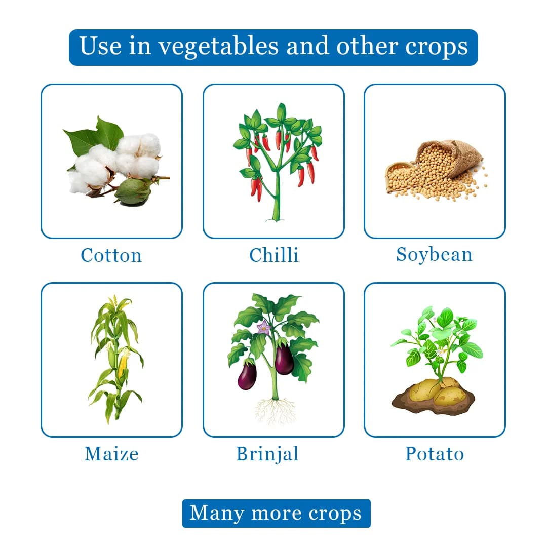 Thiolt-30 Insecticide - Thiamethoxam 30% FS - Image 4