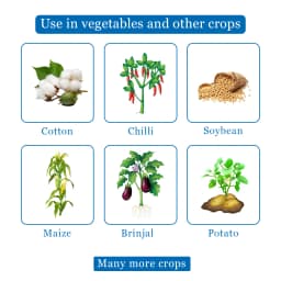 Thiolt-30 Insecticide - Thiamethoxam 30% FS 4