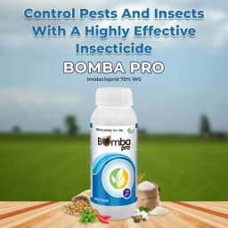 Bomba Pro Insecticide - Imidacloprid 70% WG 2