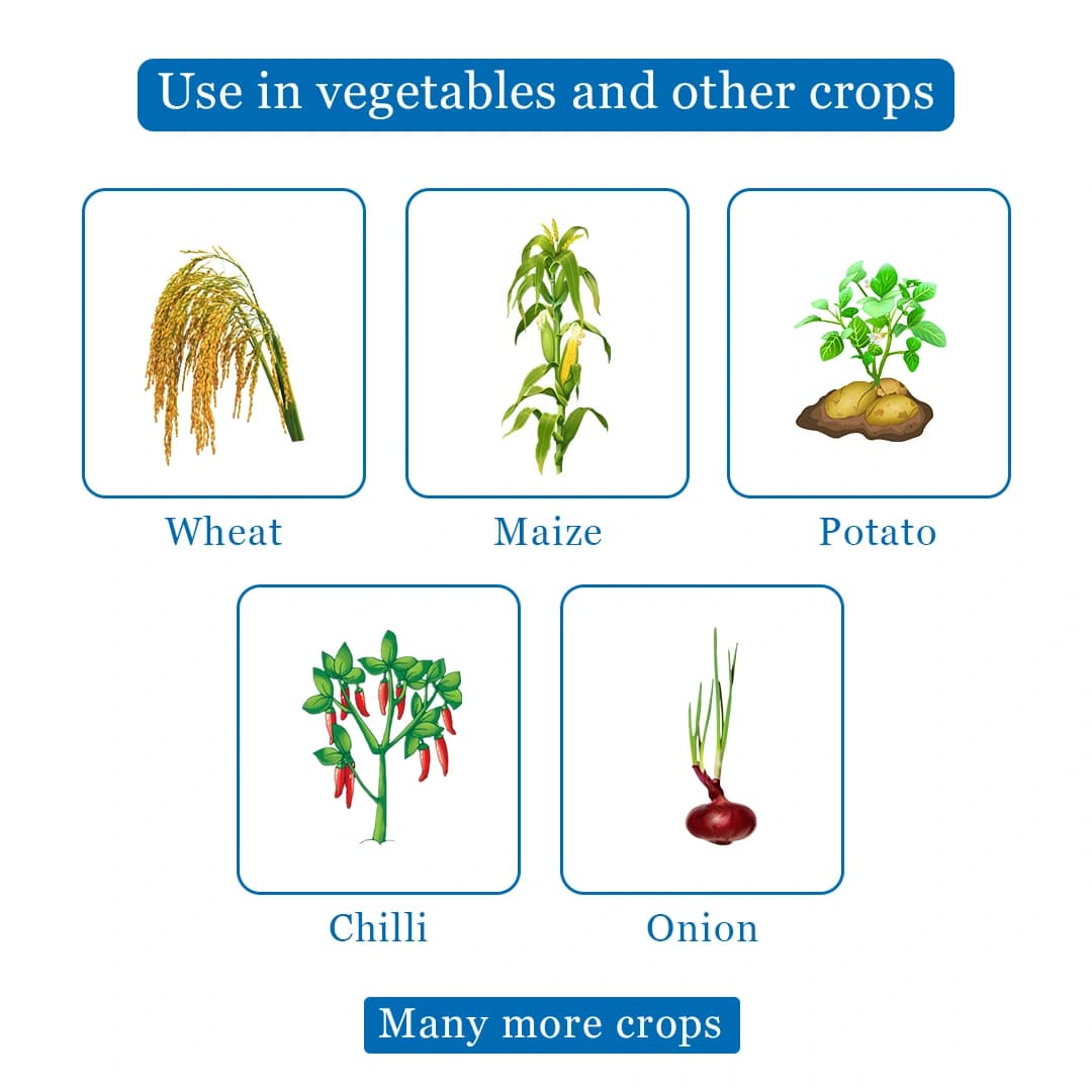 Agriventure Cypermen Insecticide - Image 4