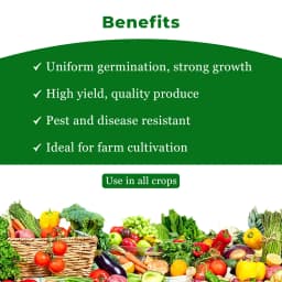 Cromin Seed+ Zincated Phosphate Suspension (NPK 00:14:00, Zn-17.5%) Provides effective nutrient input for early crop growth. 4