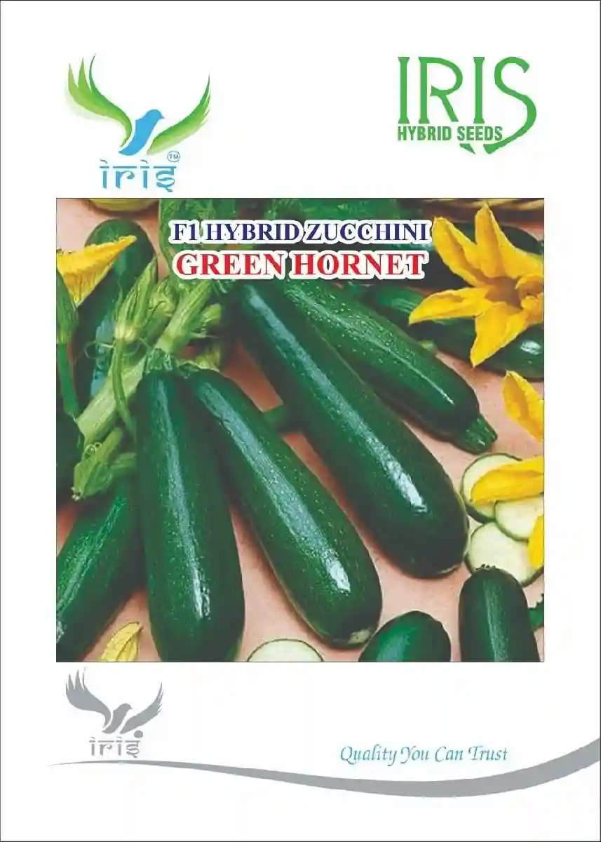 Iris Hybrid Vegetable Seeds F1 Hybrid Zucchini Green Hornet, Torai Ke Seeds.