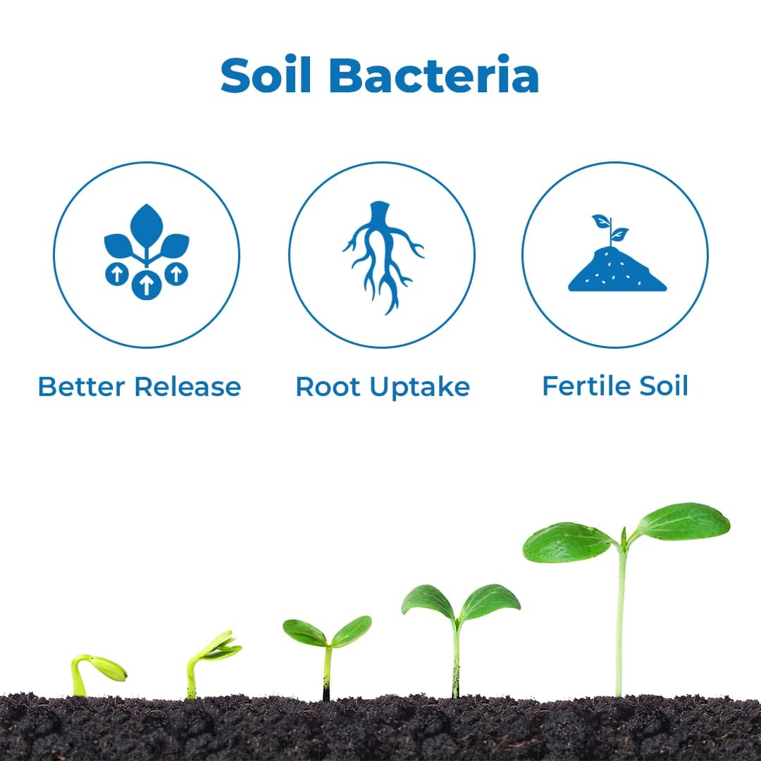 Dr. Bacto\'s 5G Combo Biocapsule, NPK Consortia Enclosed In Biodegradable Capsules - Image 3