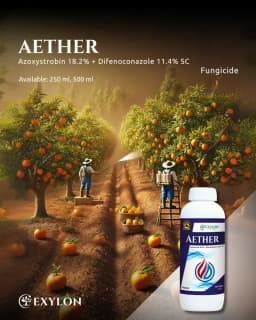 Exylon Aether Azoxystrobin 18.2% + Difenoconazole 11.4% SC Fungicide, Dual-Action, Disease Control In Crops 2