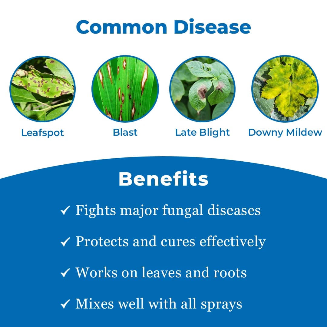 Rain Soft Fungicide - Image 3